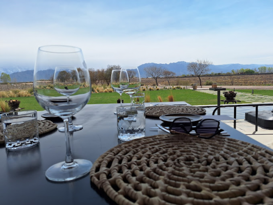 BODEGA PENEDO BORGES