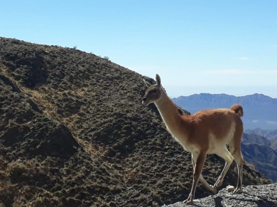 Villavicencio &ndash; Camino de Caracoles