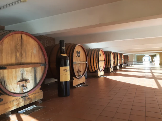 Caminos del Vino