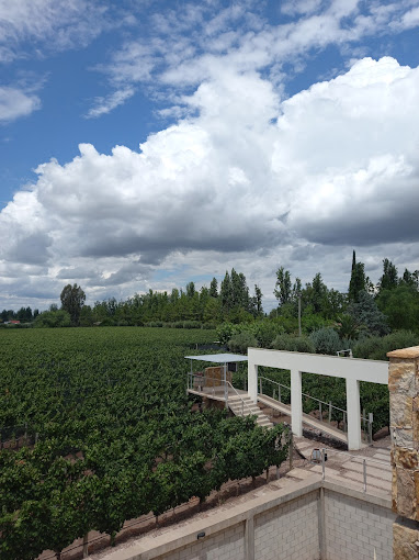Bodega Tempus Alba