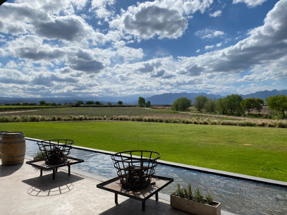 BODEGA PENEDO BORGES
