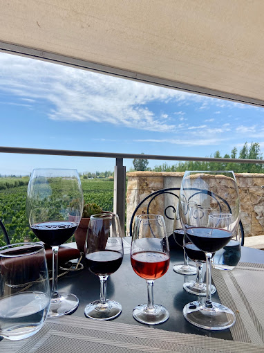 Bodega Tempus Alba
