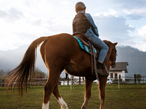 Cabalgata Atardecer con Cena