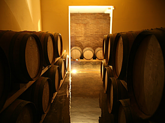 BODEGA BONFATTI