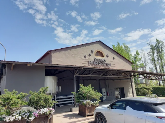 BODEGA DOMICIANO