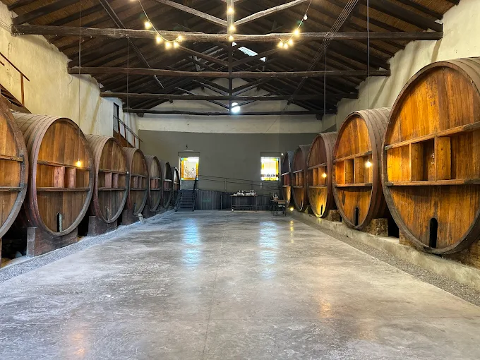 Categor&iacute;a BODEGAS EN MENDOZA