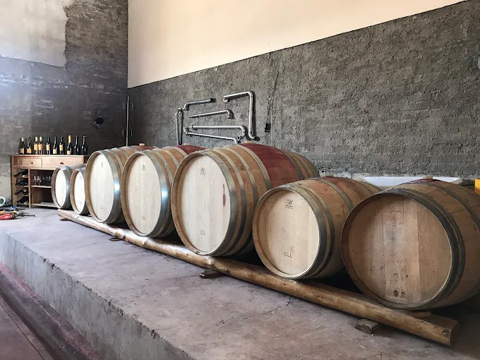 BODEGA JEAN BUSQUETS