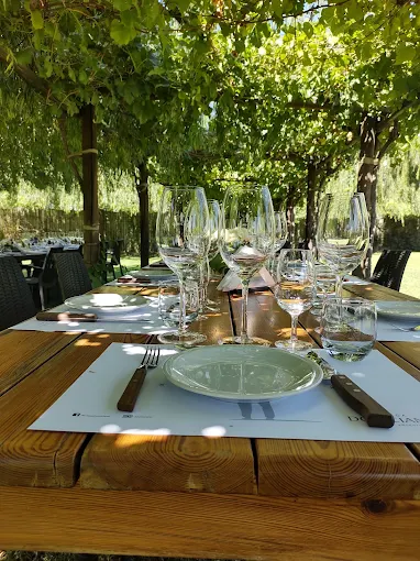 BODEGA DOMICIANO