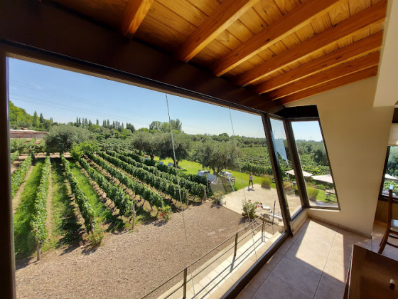 BODEGA BONFATTI