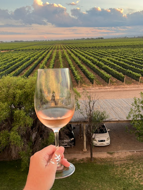BODEGA SÉPTIMA