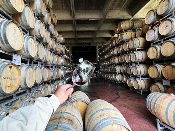 BODEGA S&Eacute;PTIMA
