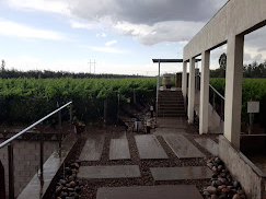 Bodega Tempus Alba